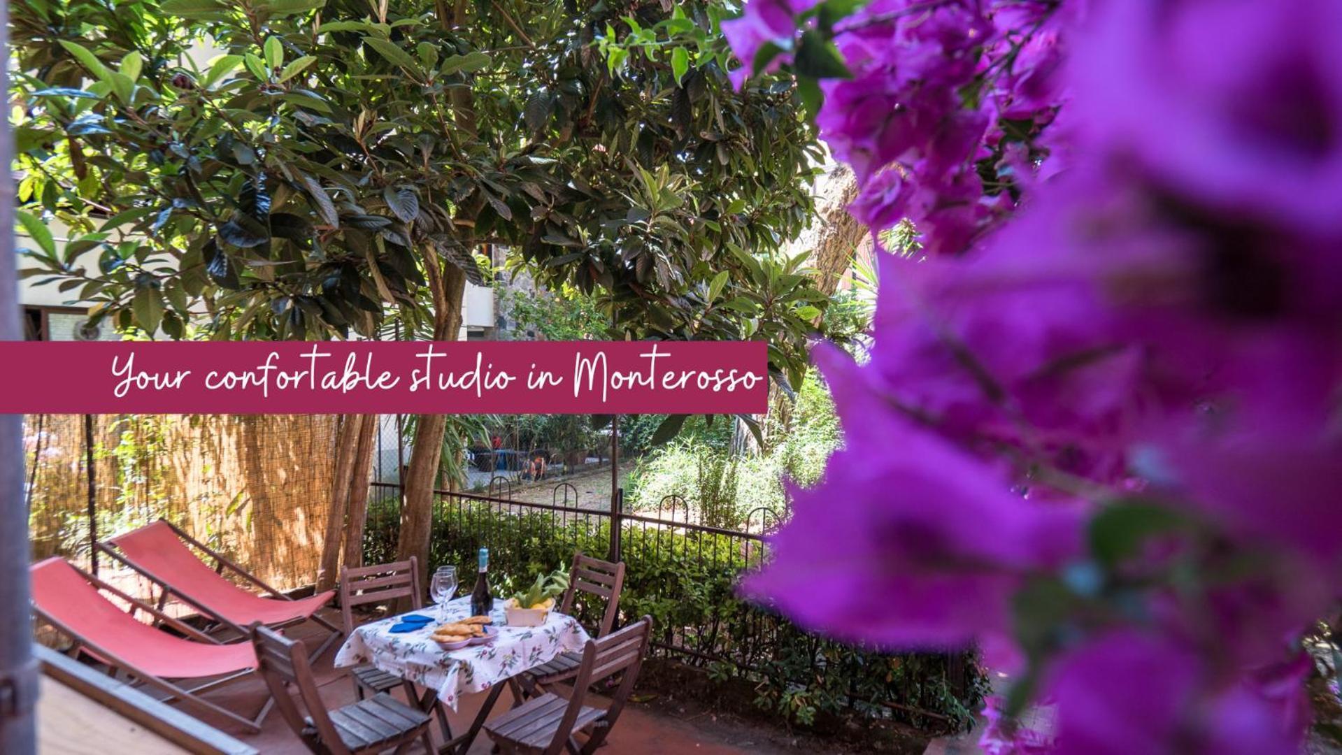 Il Giardino Di Ada Ground Floor Studio With Ac And Patio Монтеросо ал Маре Екстериор снимка